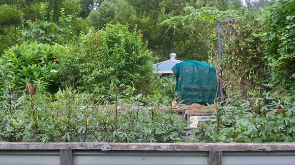 Quels sont les avantages de la permaculture pour une agriculture plus durable ?
